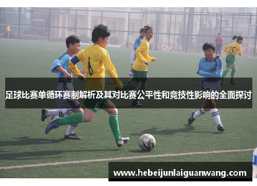 足球比赛单循环赛制解析及其对比赛公平性和竞技性影响的全面探讨